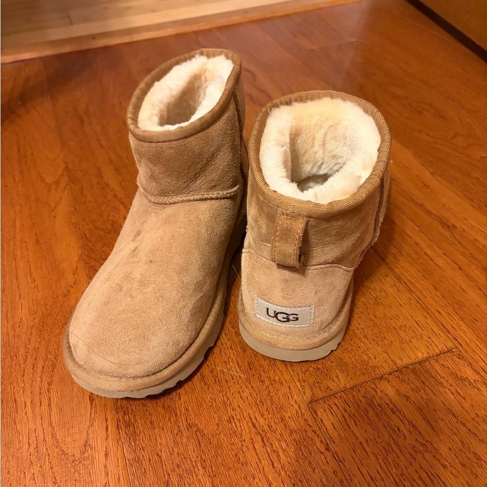 UGG Chestnut Ankle Boots with Plush Lining